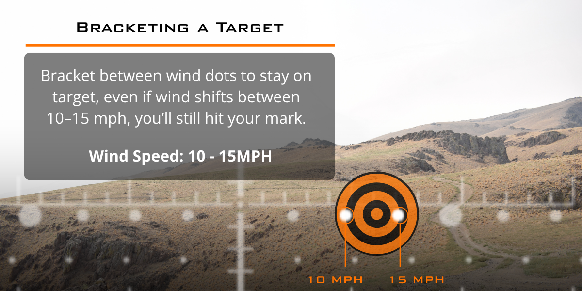 Reticle image showing how to bracket a target between wind dots