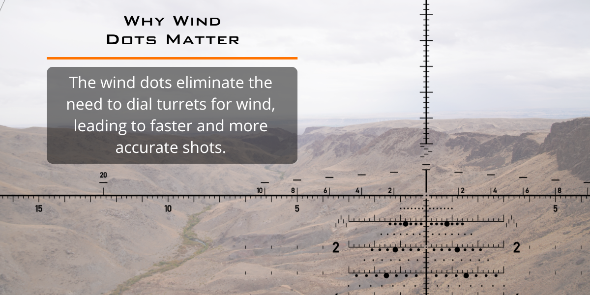 reticle image over a desert background